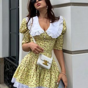 Peter Pan Collar Short Sleeve Floral Mini Dress