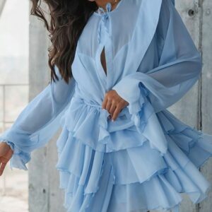 Long Sleeve Tie Mesh Sheer Tiered Mini Dress